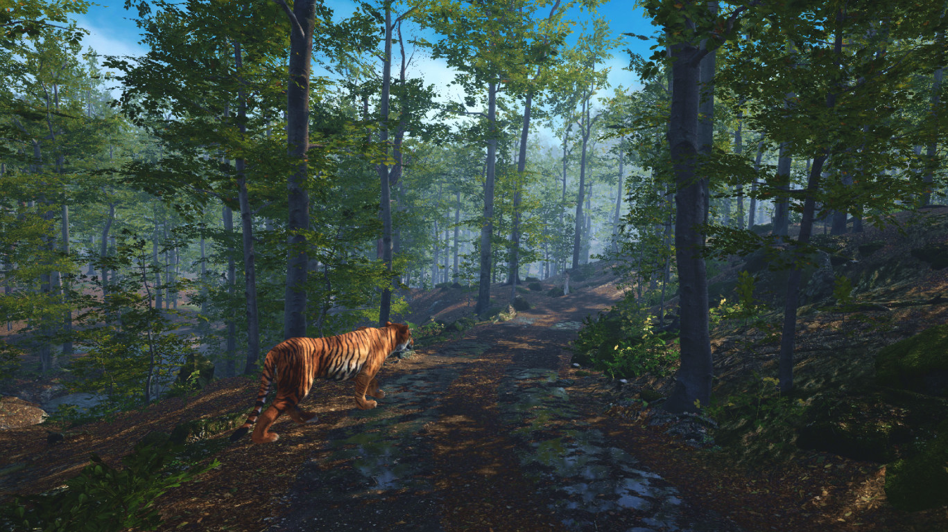 Big Cat Rescue screenshot 1