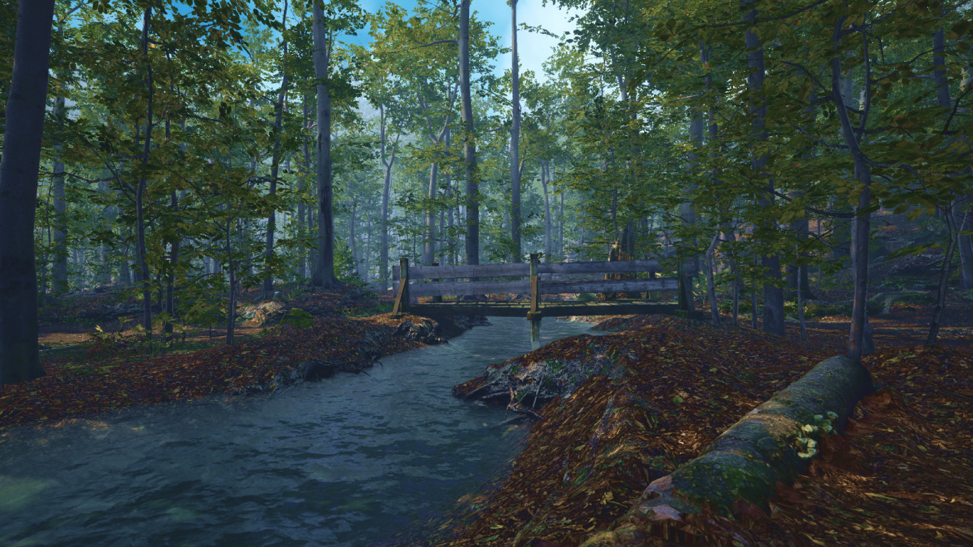 Big Cat Rescue screenshot 5