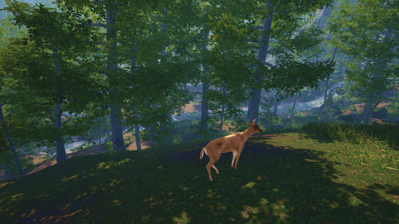 Big Cat Rescue screenshot 4