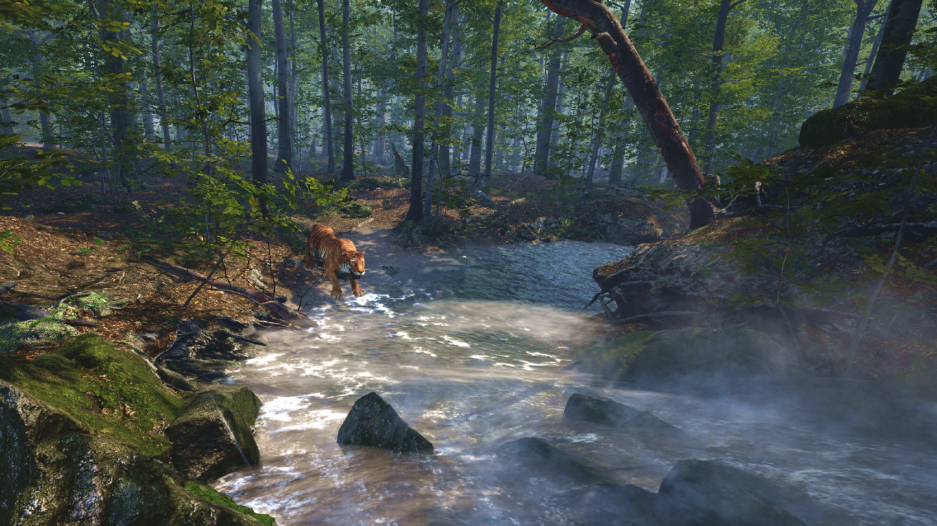 Big Cat Rescue screenshot 2
