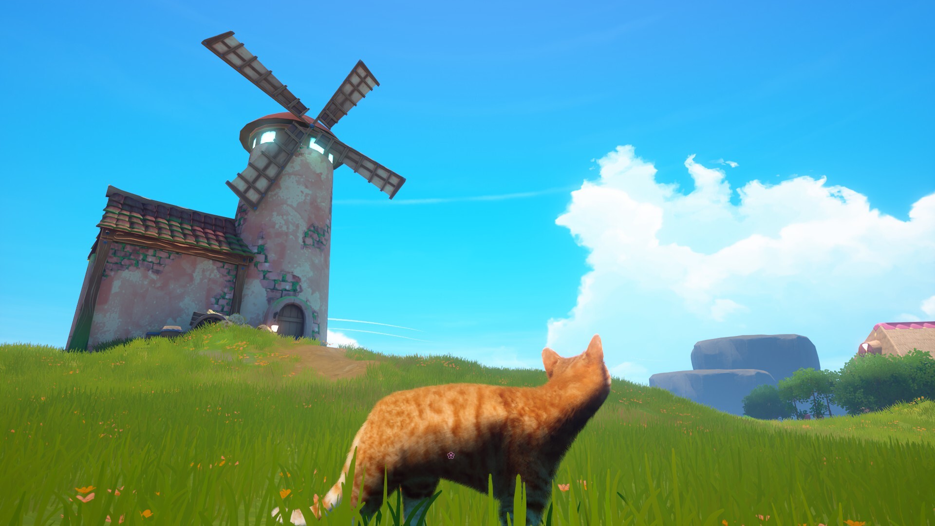 Cat Simulator screenshot 6