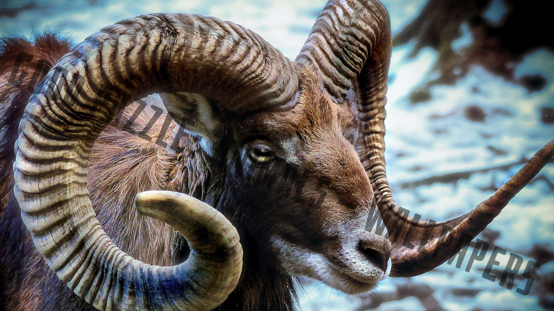 Good puzzle: Animals - Wallpapers screenshot 9