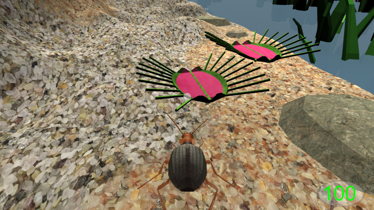 Insect: Bombardier beetle screenshot 3