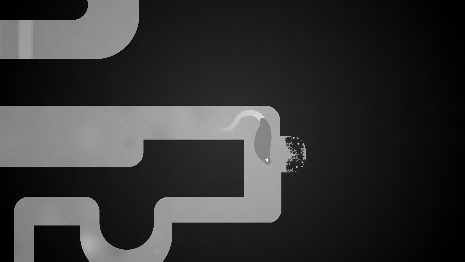 Phi screenshot 5