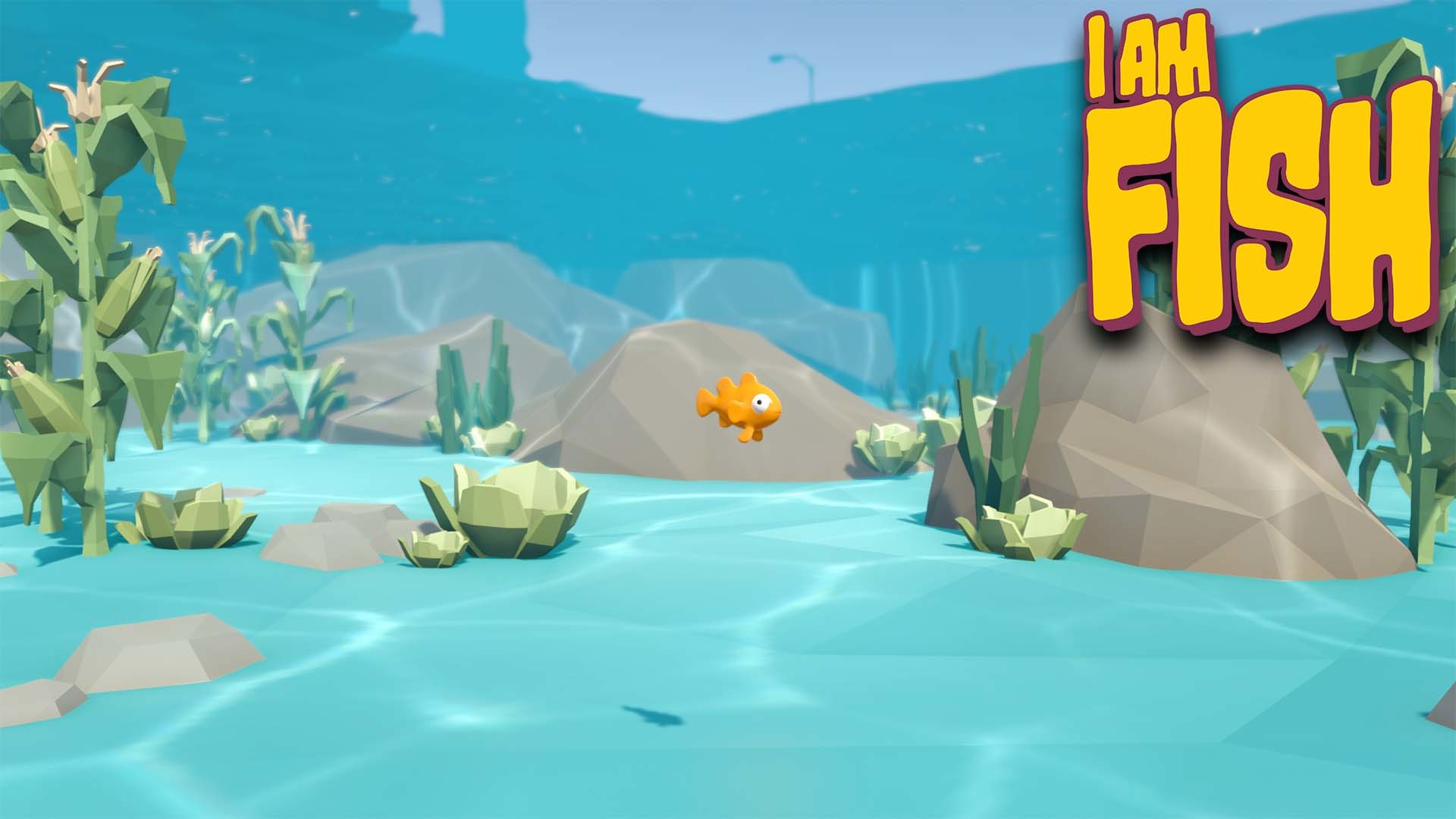 Bossa Presents screenshot 1