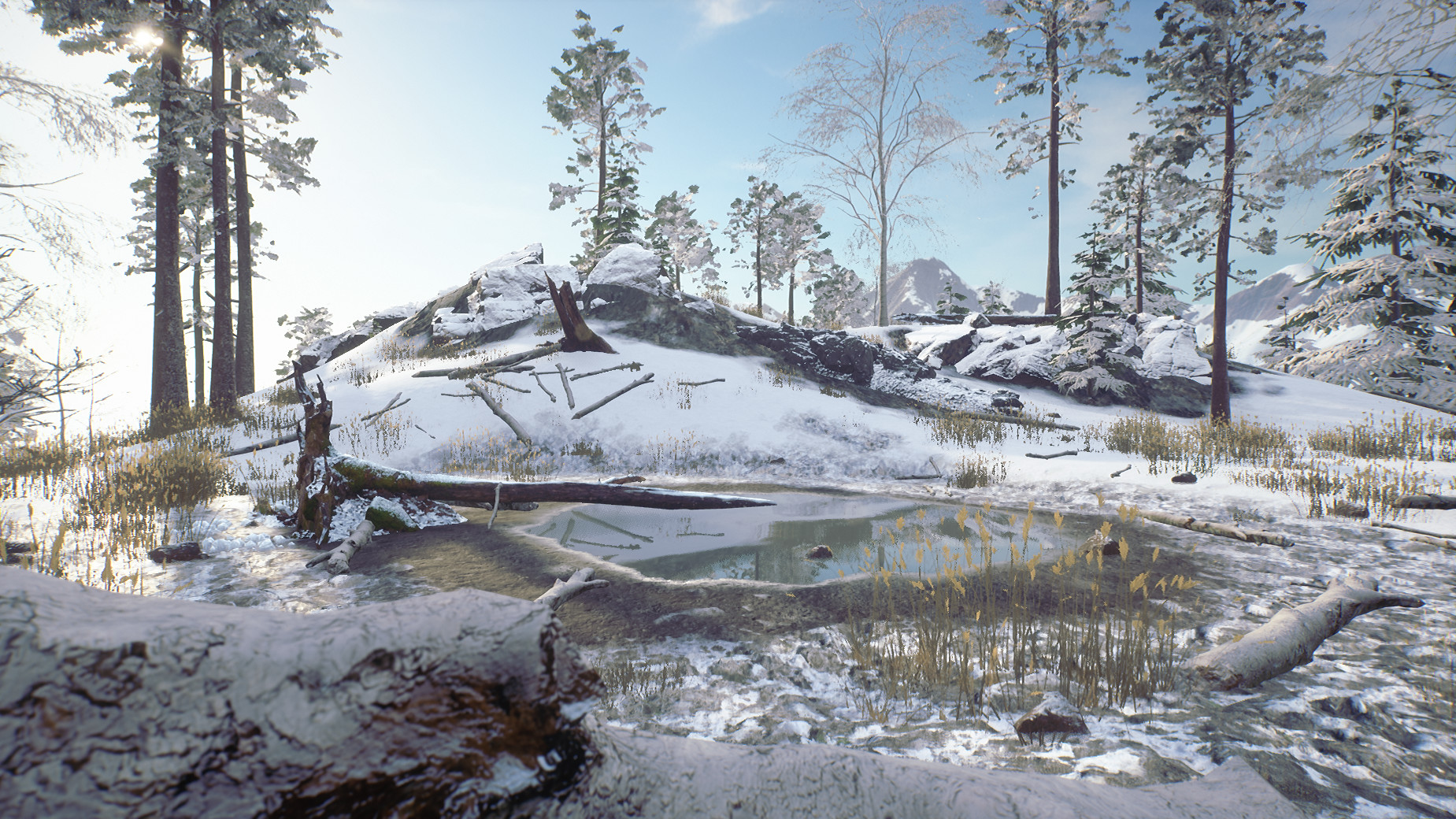 Til Nord screenshot 12