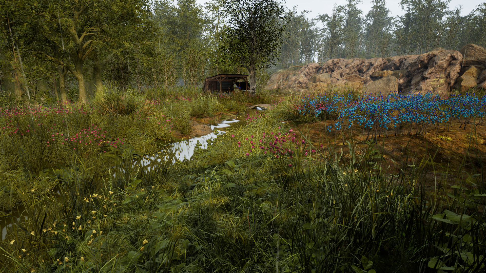 RTD screenshot 7