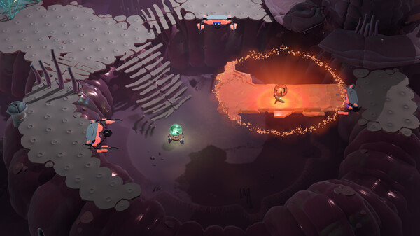 COCOON screenshot