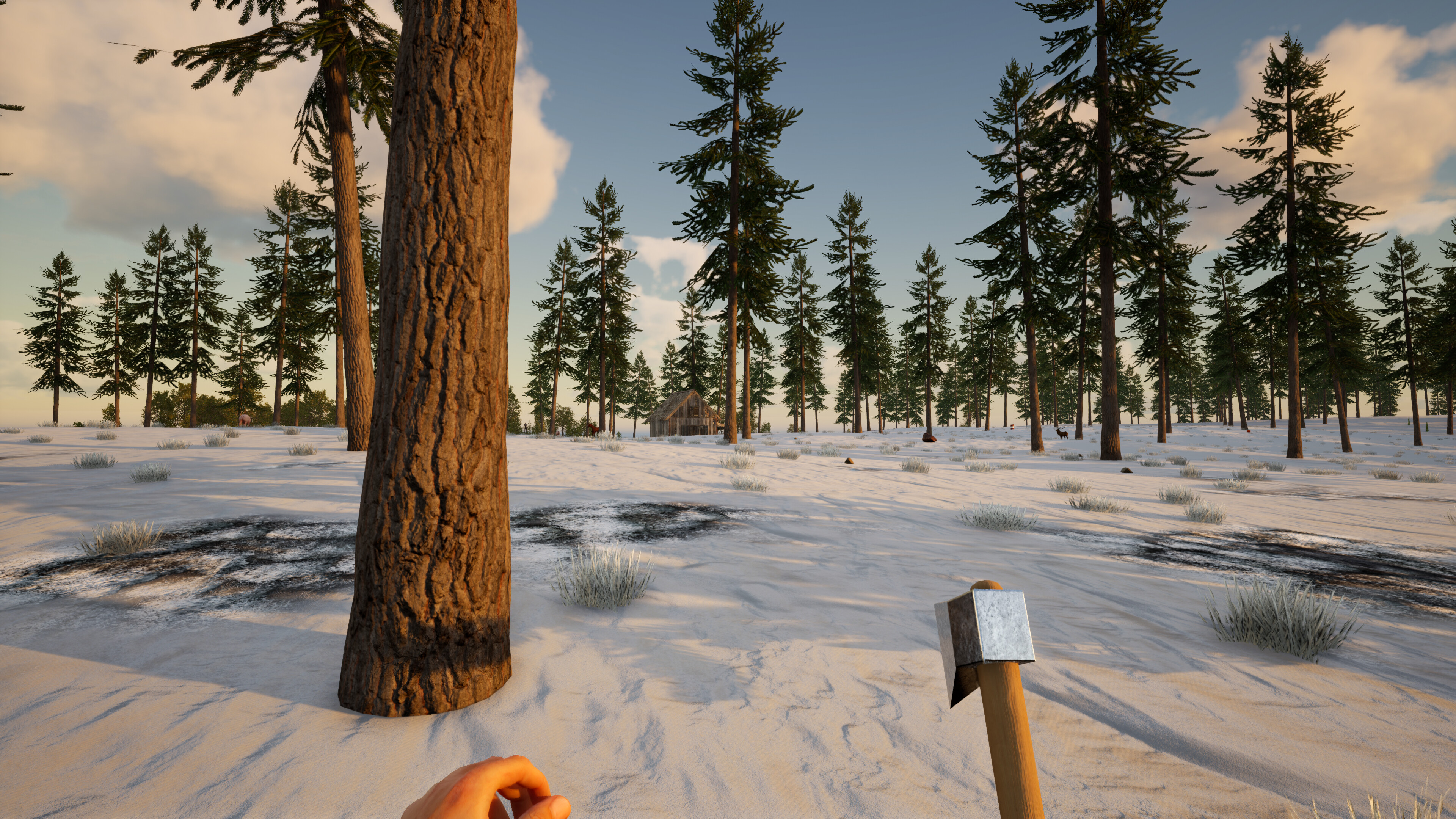 Far Lands screenshot 5
