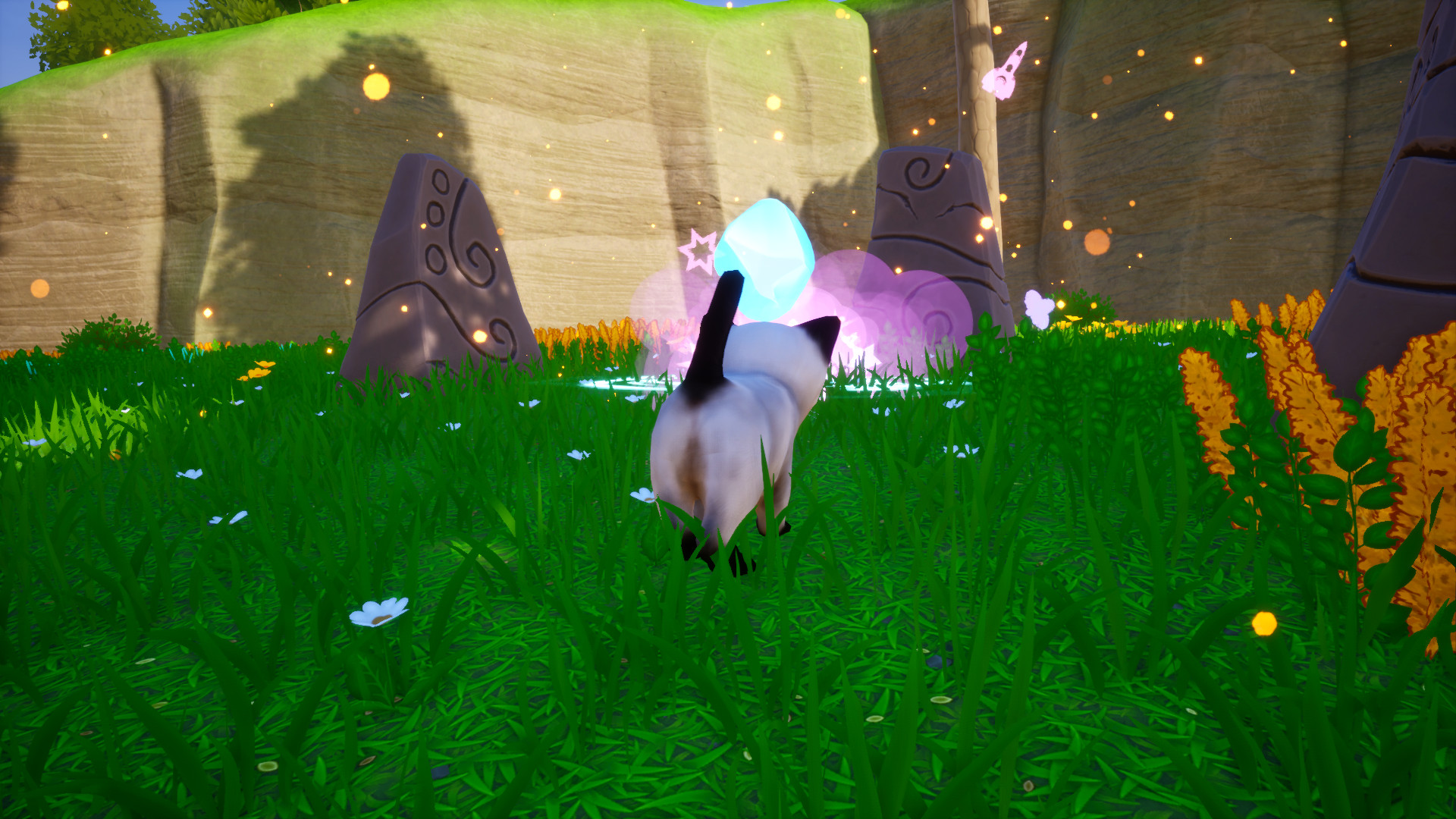 Cat Go! Ultimate Challenge screenshot 11