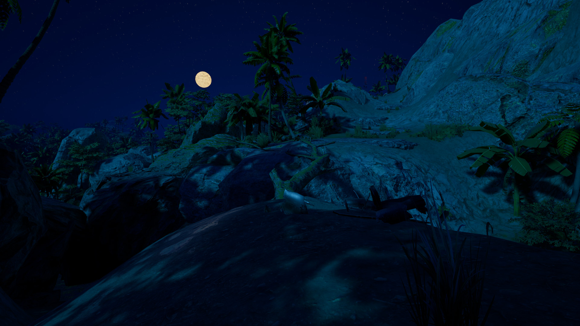 VHAIP screenshot 6
