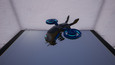 Screenshot 25