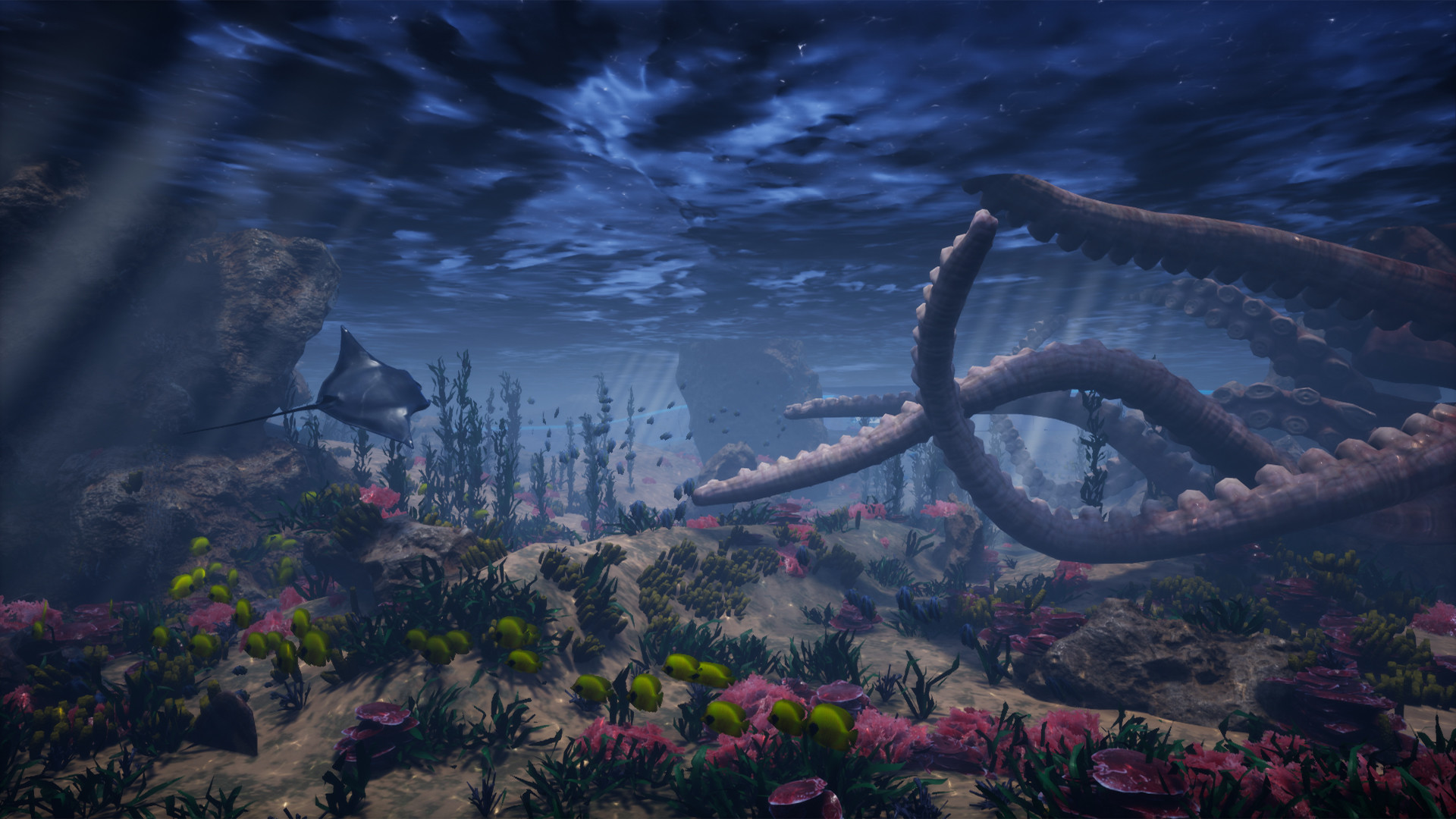 Digital Zoo Gallery screenshot 4