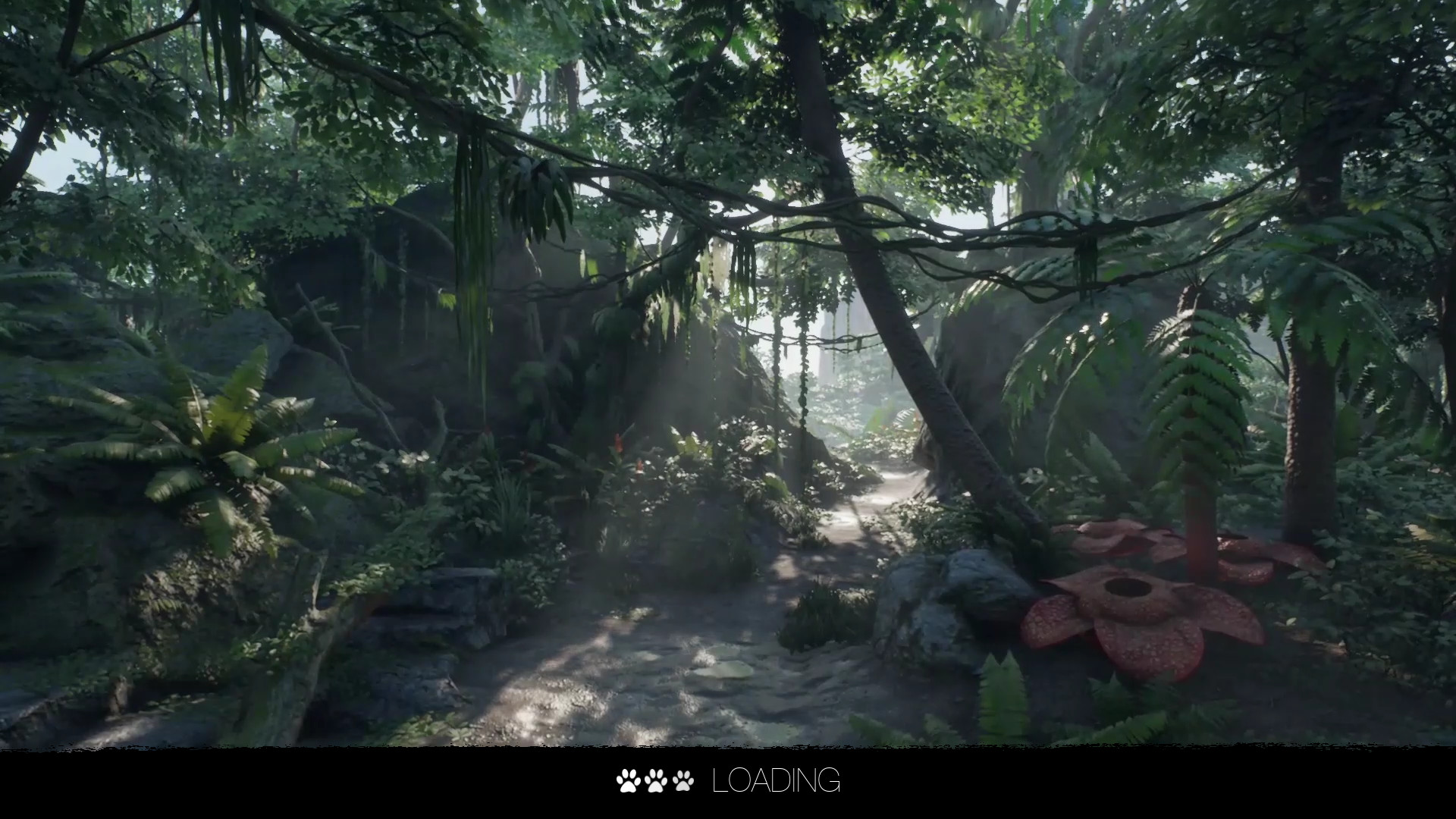 Digital Zoo Gallery screenshot 11
