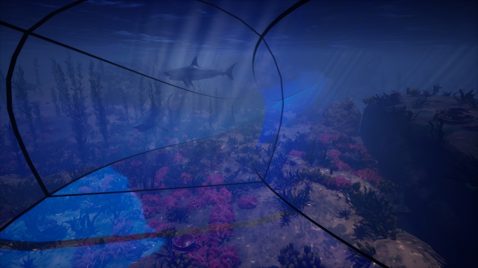 Digital Zoo Gallery screenshot 10