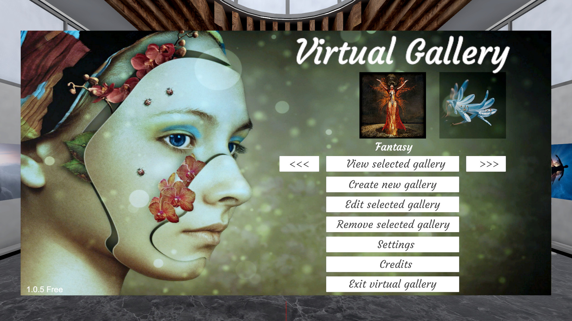 Virtual Gallery screenshot 4