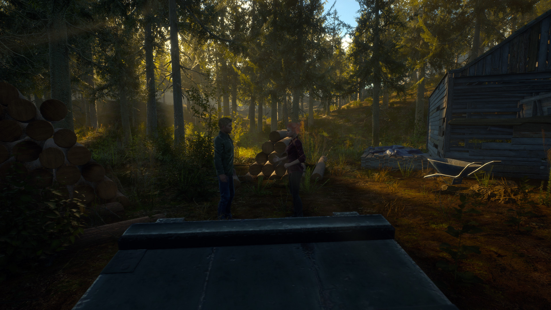 Offroad Delivery Service screenshot 8