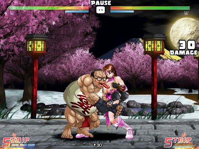 Strip Fighter 5: Chimpocon Edition screenshot 6