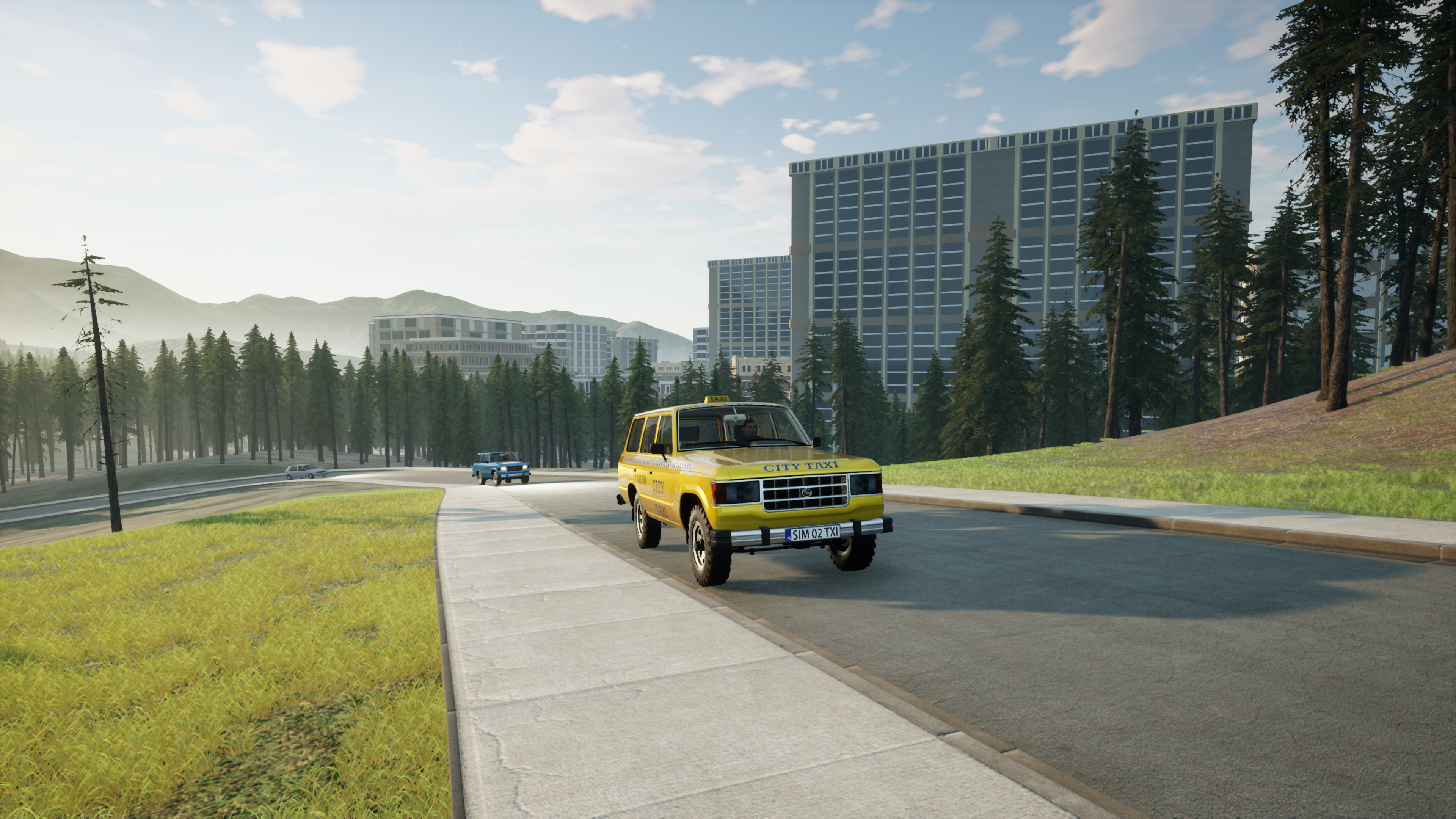 Taxi Driver - The Simulation screenshot 8