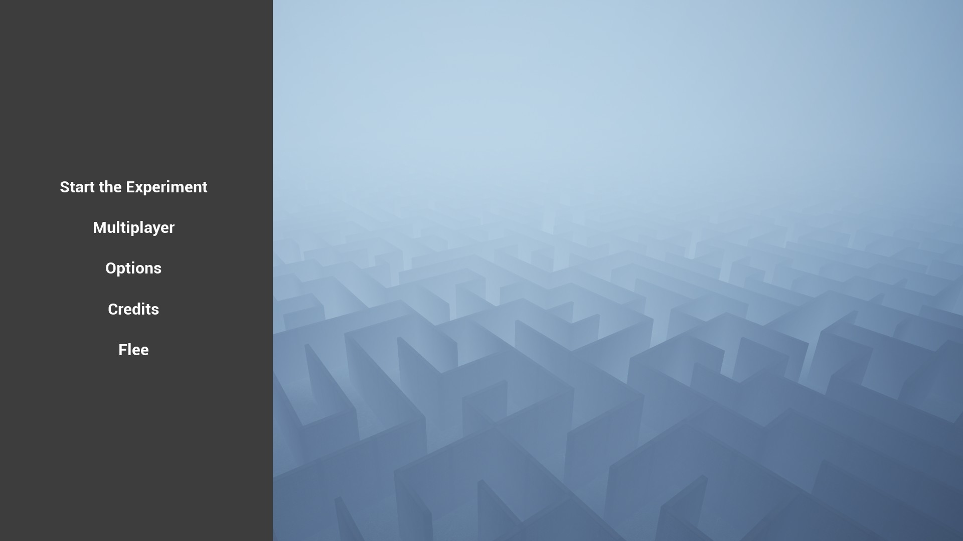 What The Maze screenshot 1