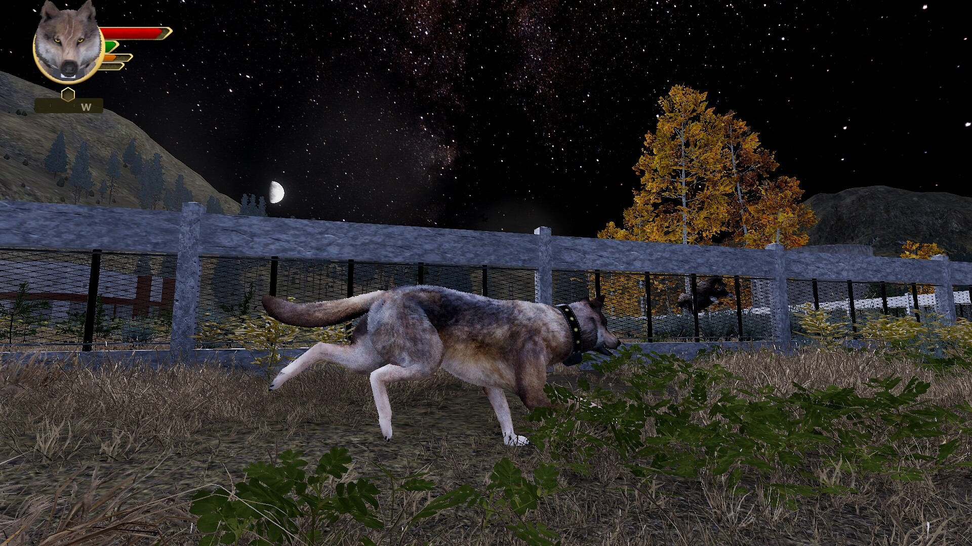 WolfQuest Anniversary - Lost River screenshot 13