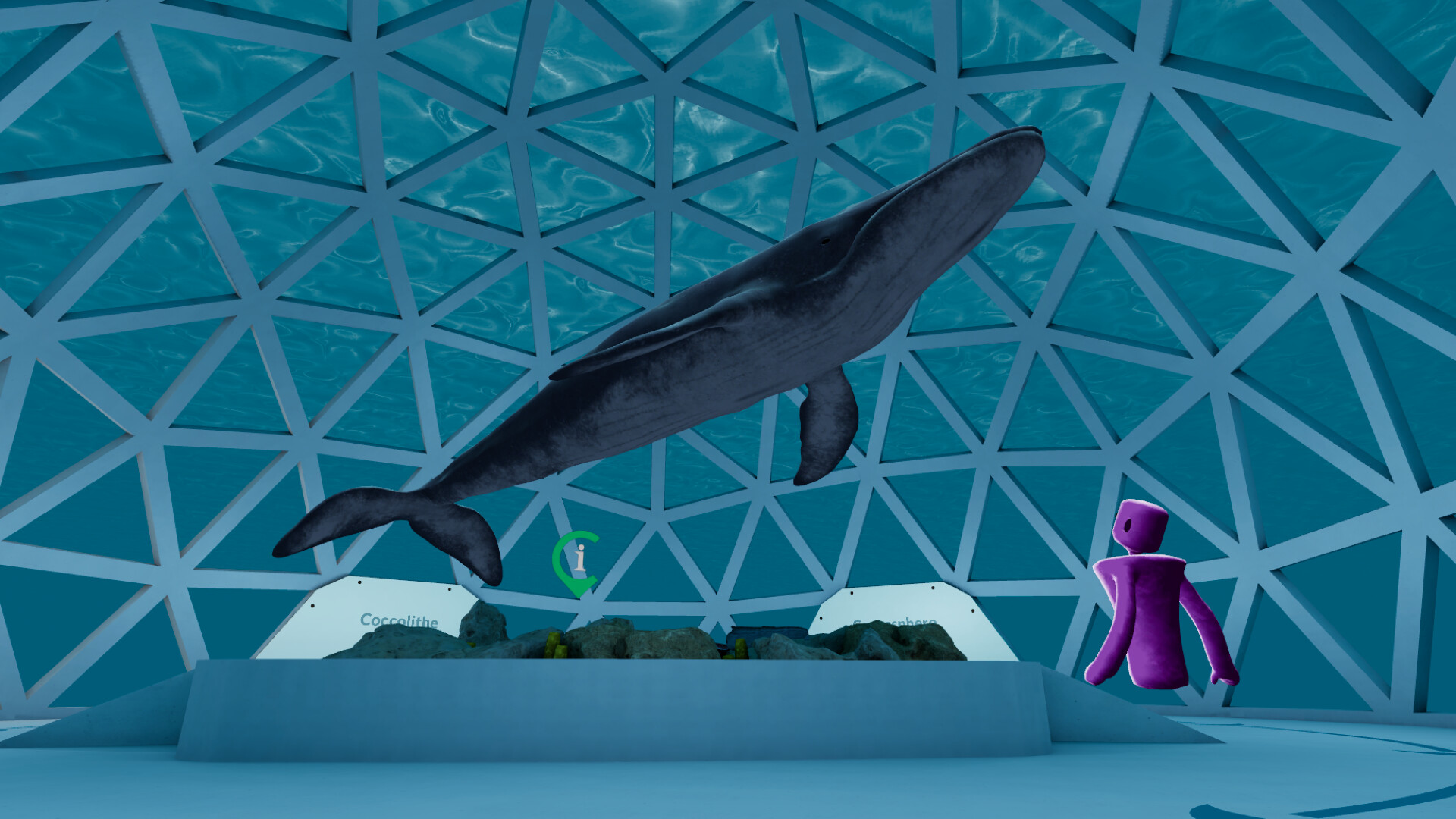 Curatours screenshot 11