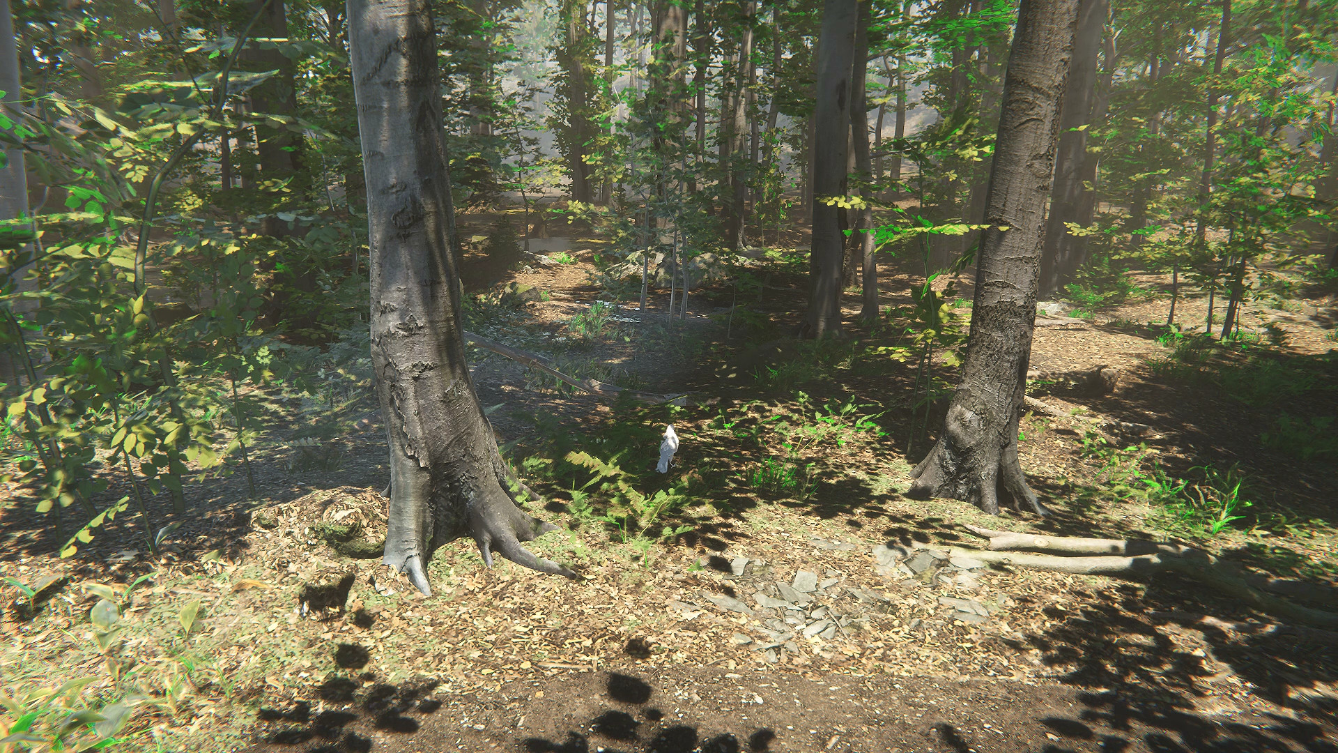 Bird screenshot 1