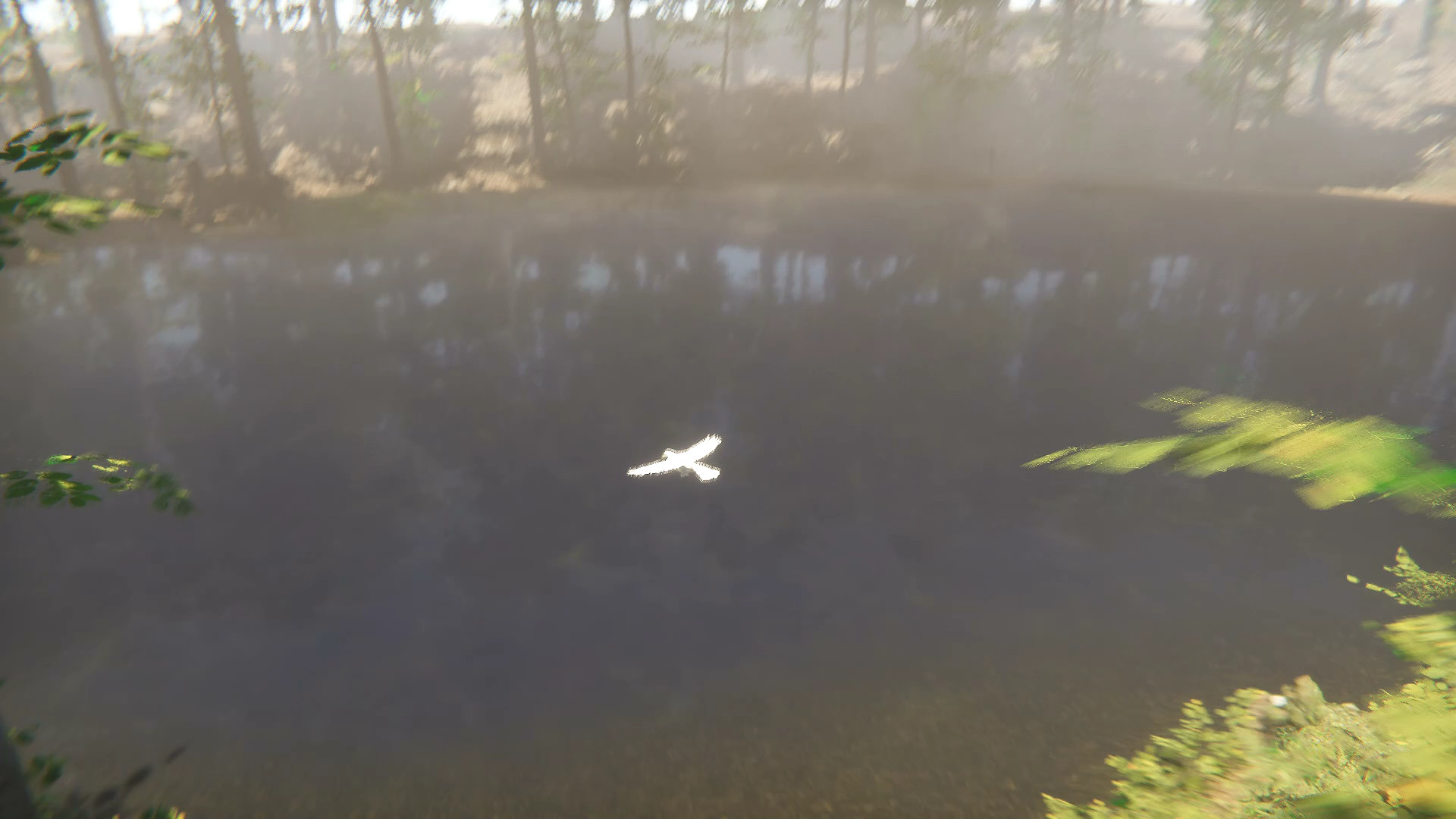 Bird screenshot 4