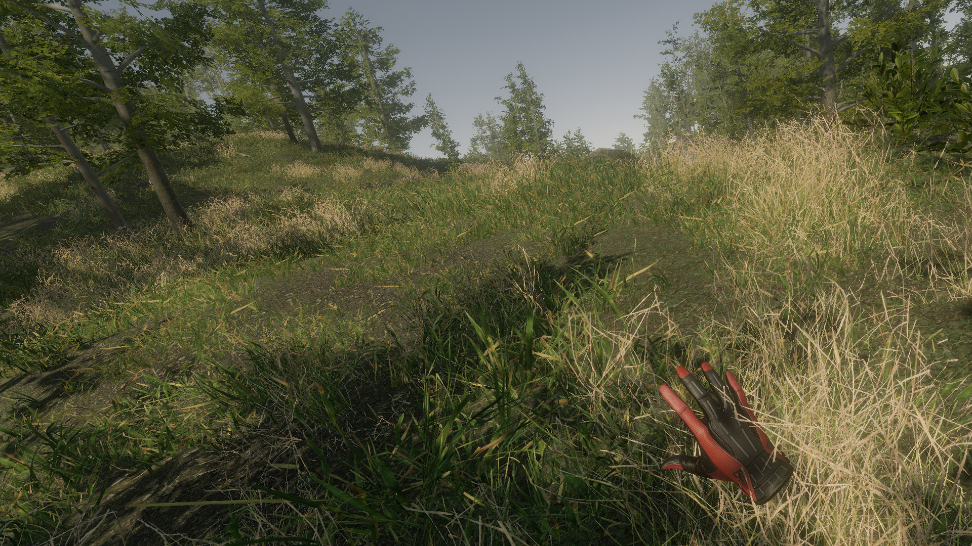 VR Walking Simulator screenshot 16