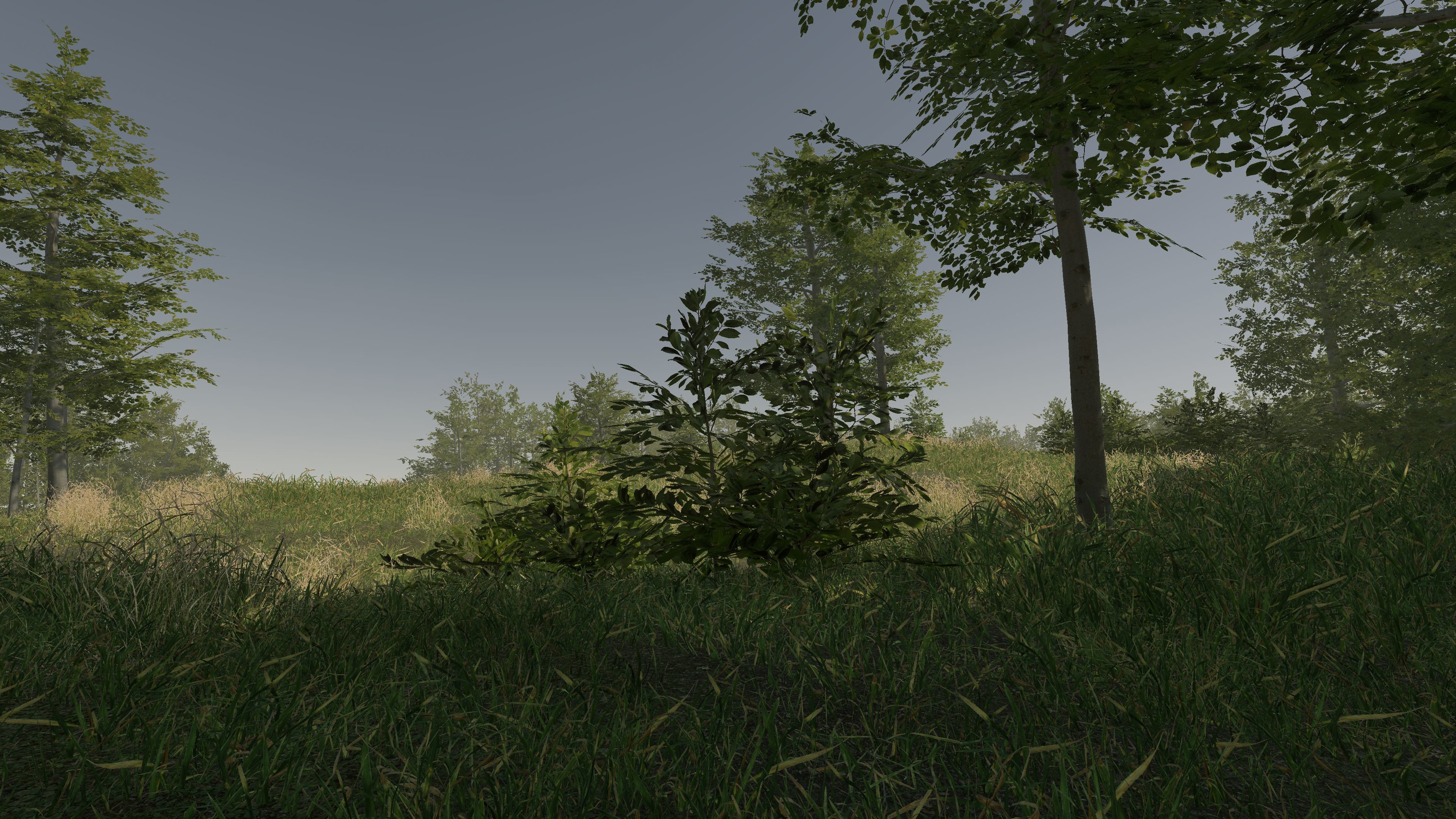 VR Walking Simulator screenshot 12