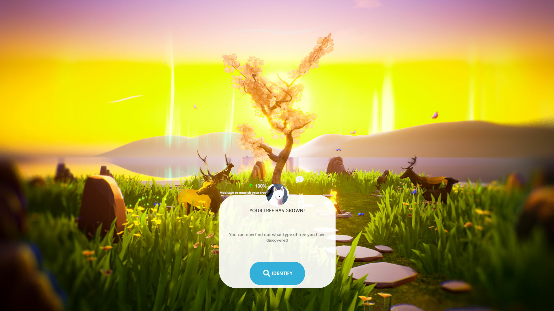 Inward screenshot 8