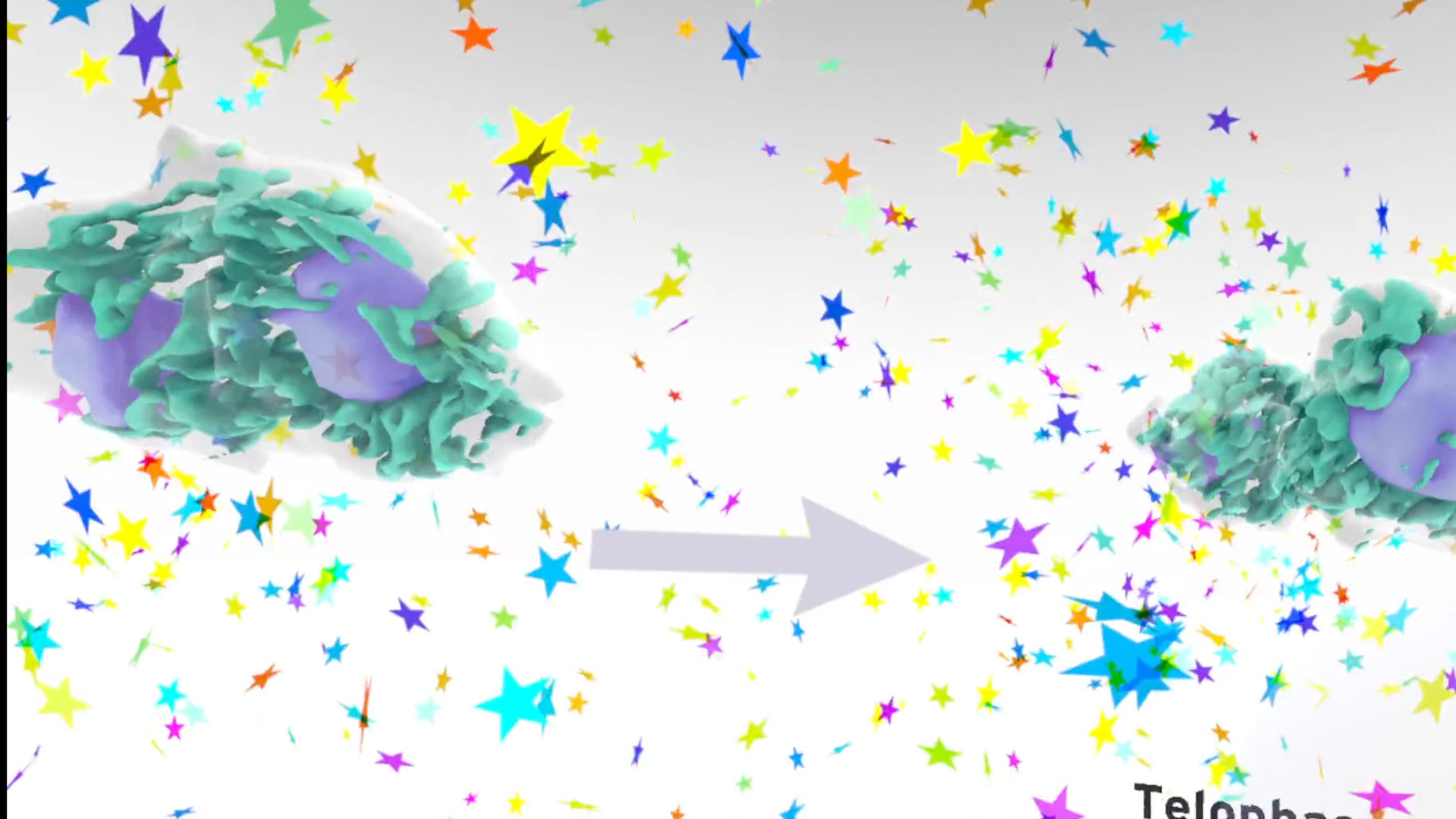 MiTOSSis screenshot 4