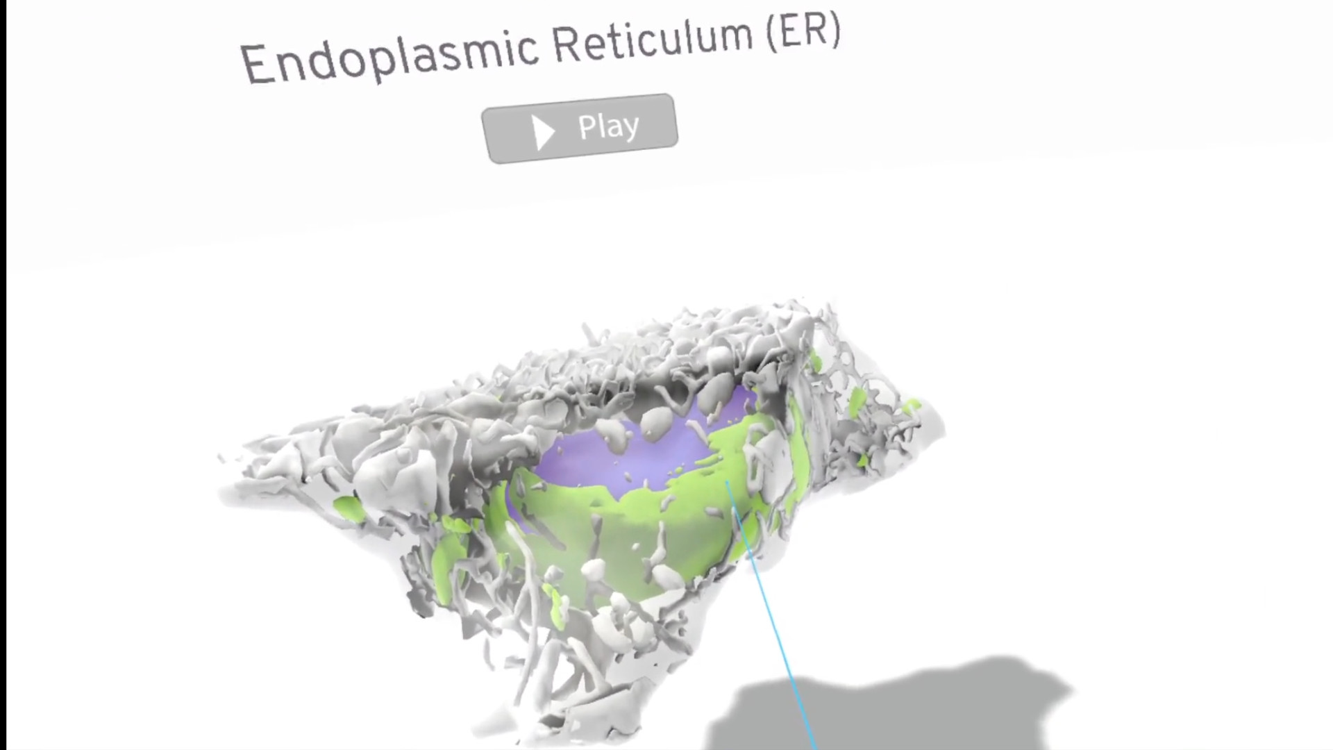 MiTOSSis screenshot 1