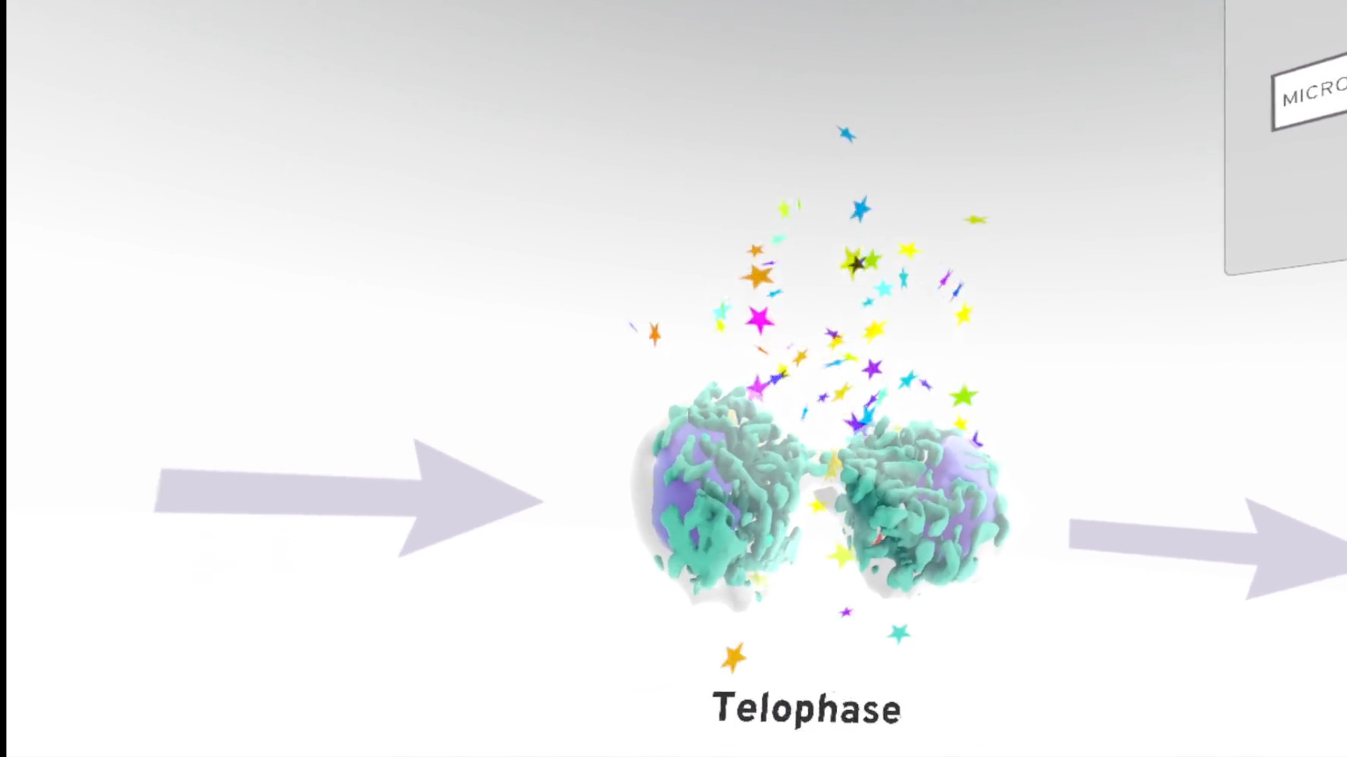 MiTOSSis screenshot 3