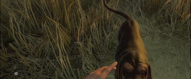 TheHunter: Call of the Wild - Bloodhound thumbnail