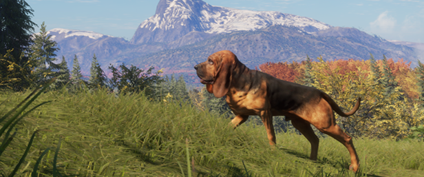 TheHunter: Call of the Wild - Bloodhound thumbnail