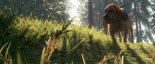 TheHunter: Call of the Wild - Bloodhound thumbnail