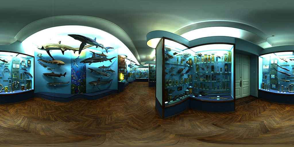 Cubemaps for Clip maker screenshot 21