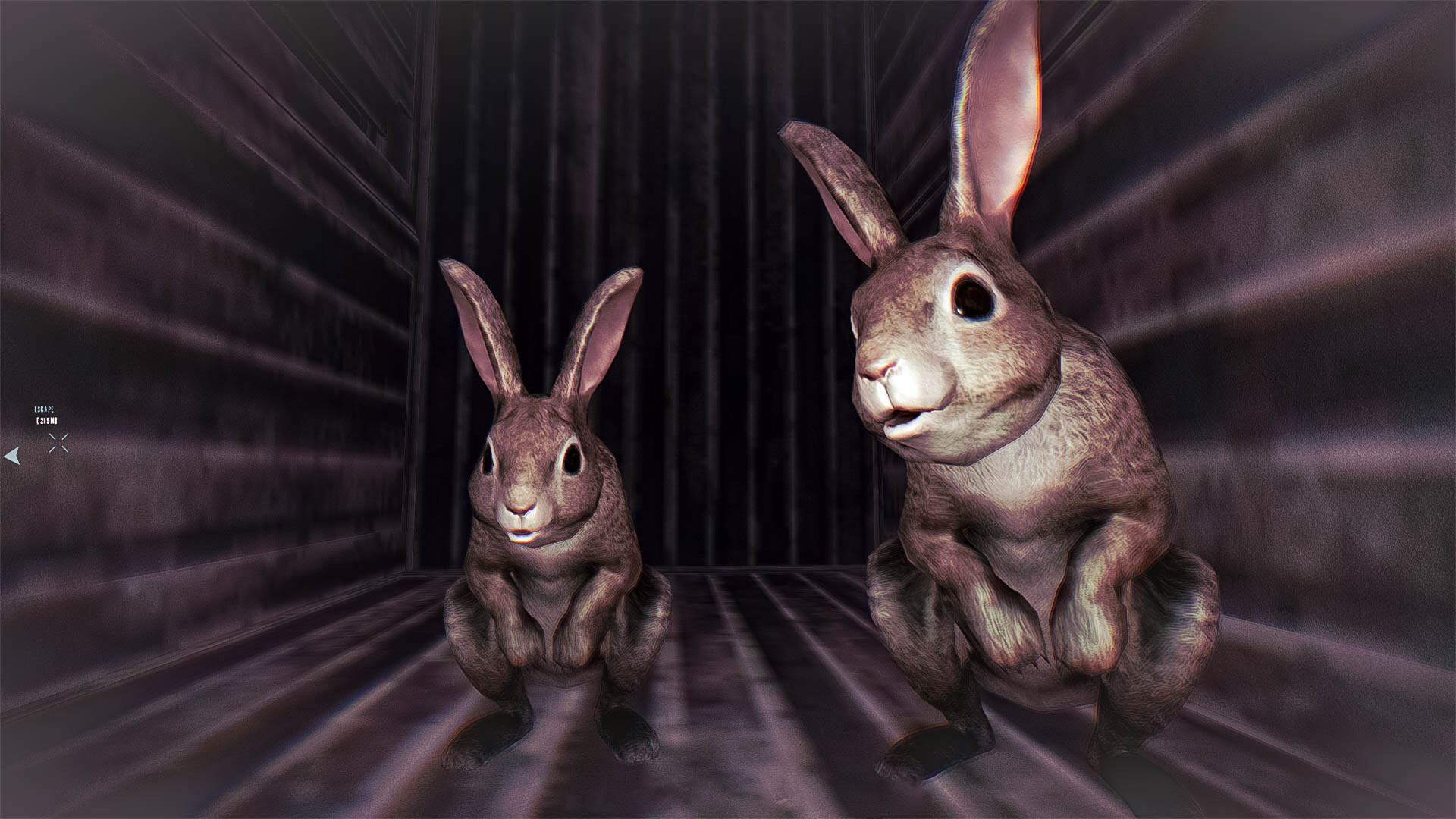 Rabbit Riot — изображение 3