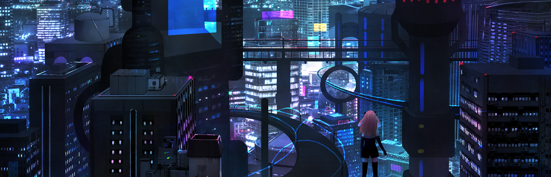 Capsule