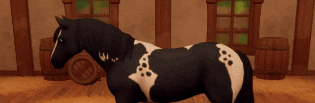 GIF2025_Auction.gif
