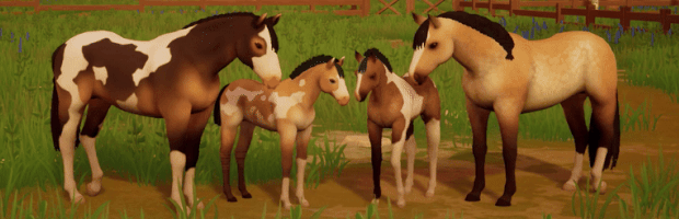 GIF2025_BreedHorses.gif
