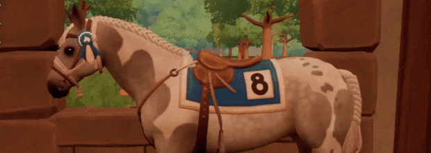 GIF2025_Tack.gif