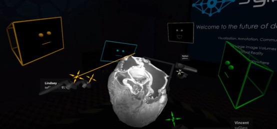 syGlass View screenshot 2
