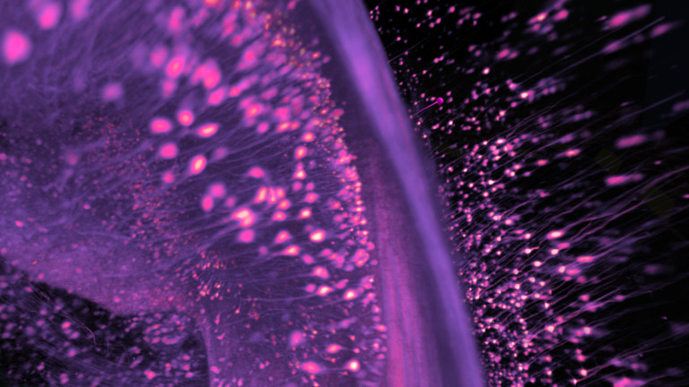 syGlass View screenshot 8