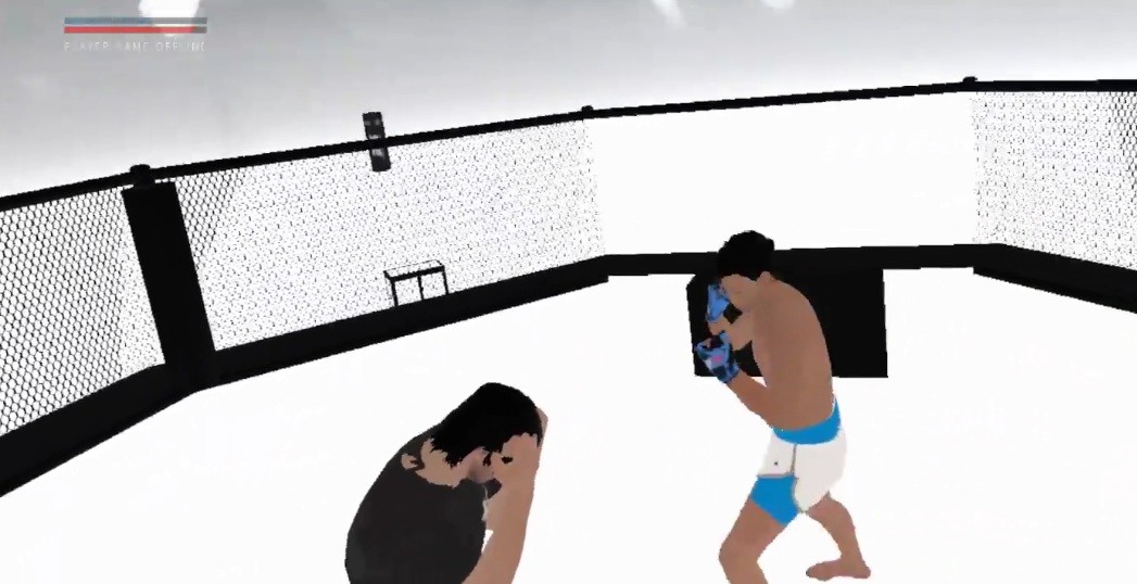 VR BOXING MASTER screenshot 1