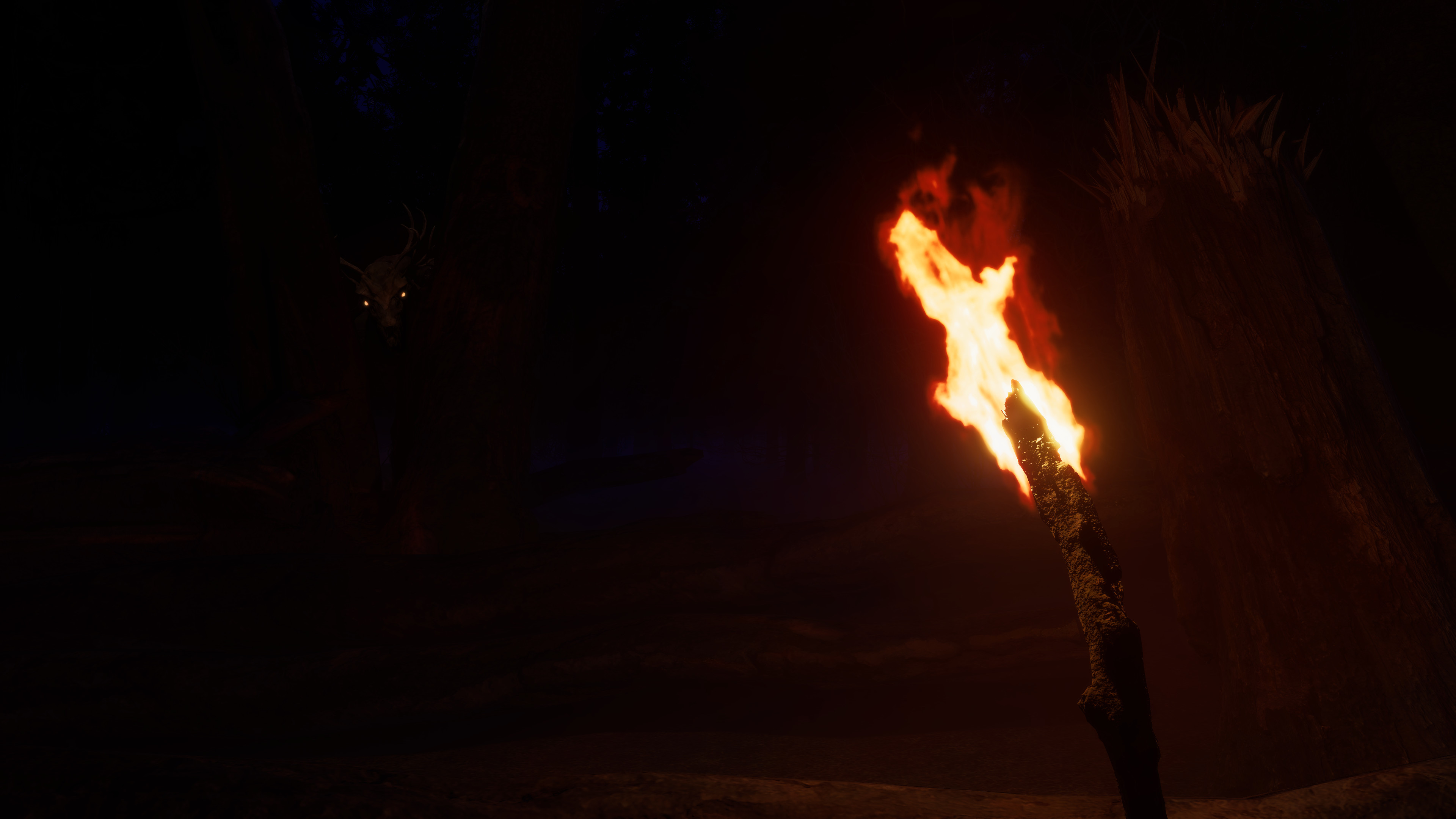 Finsterwald screenshot 5