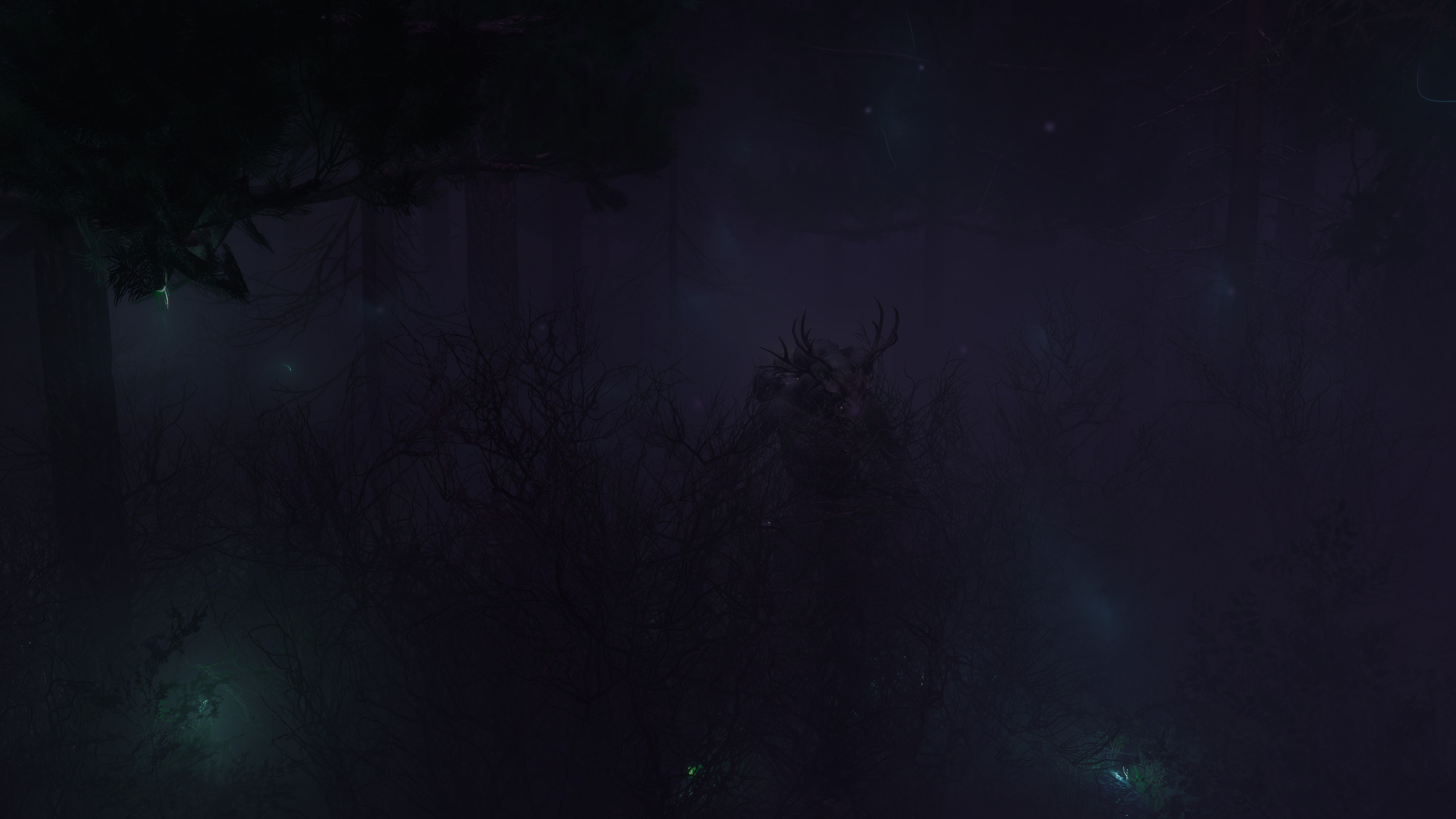 Finsterwald screenshot 2