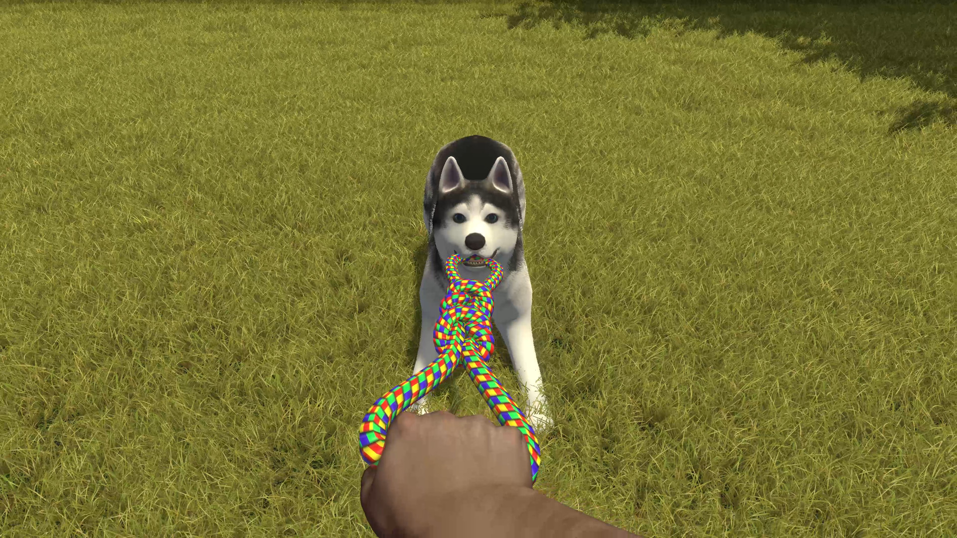 House Flipper - Pets DLC screenshot 7