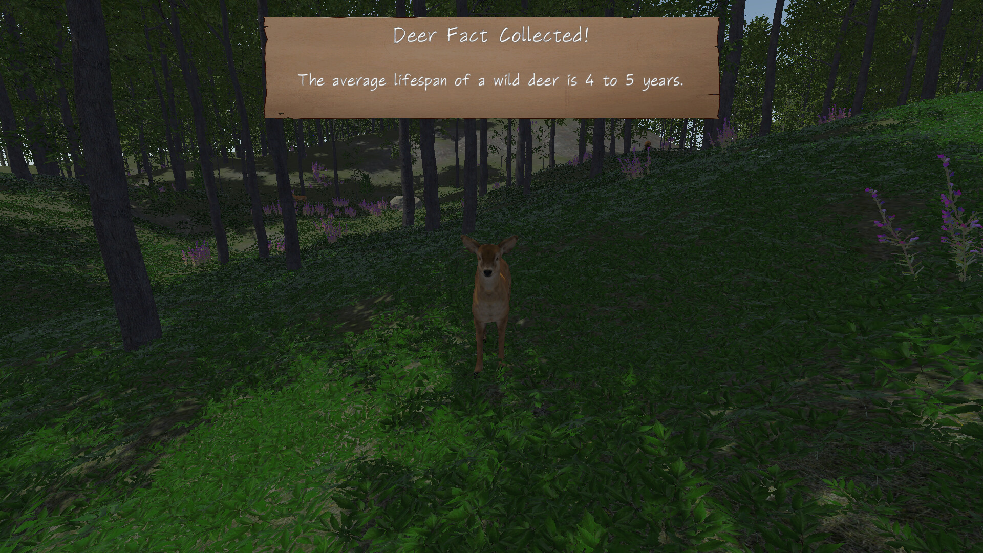 In the Wild screenshot 5